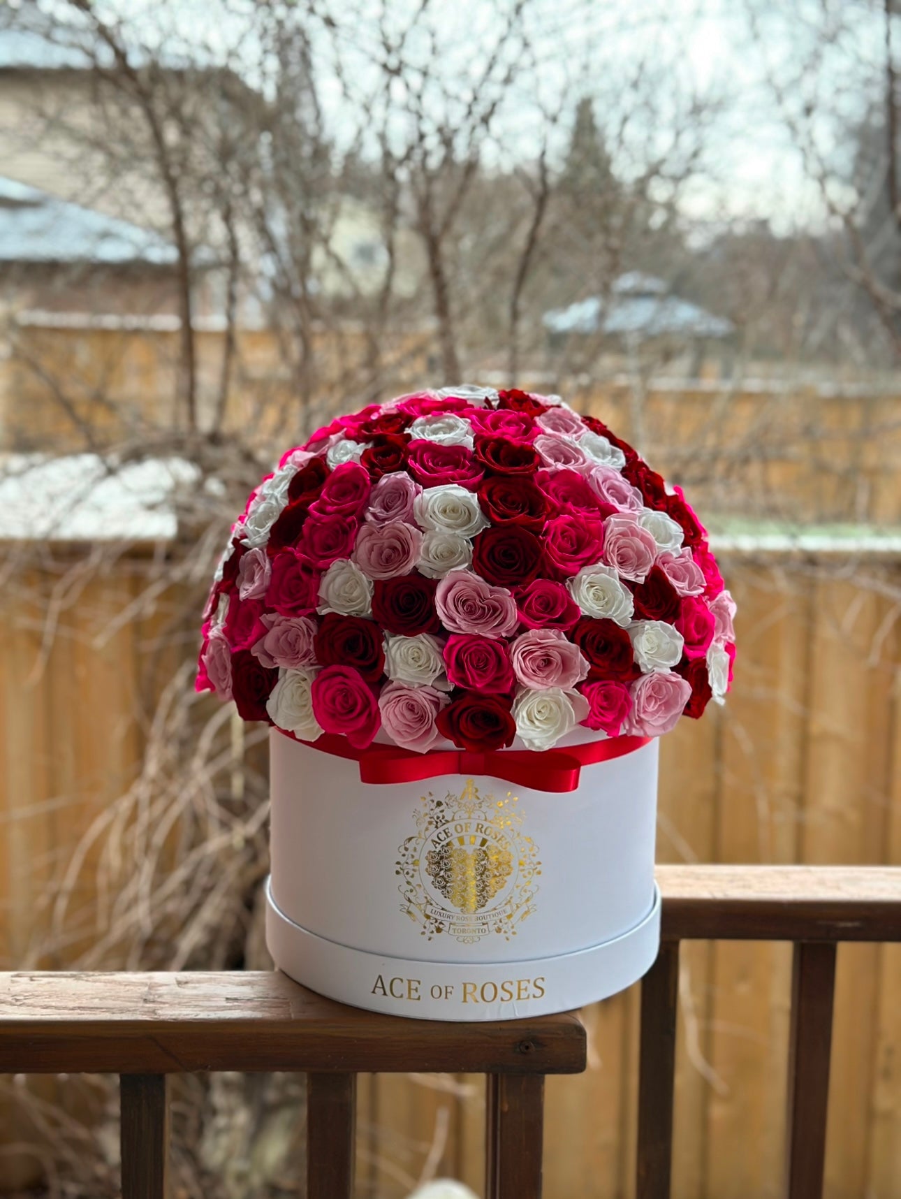 Half Ball (Large Round)