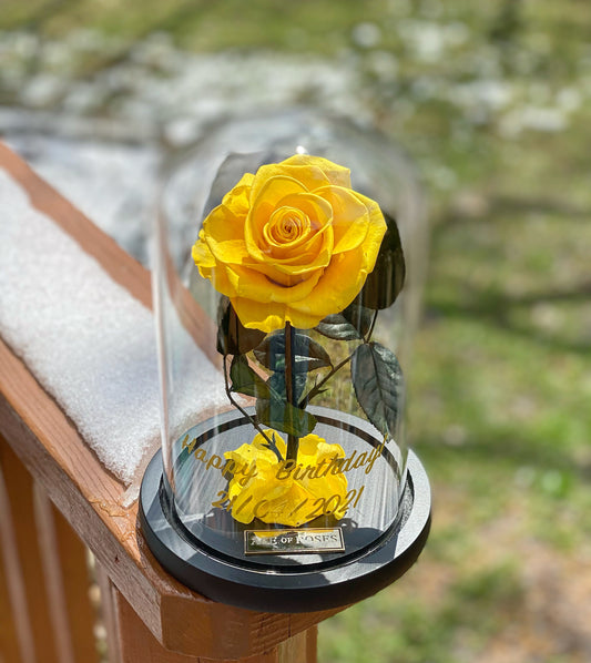 Glass Dome (Single Rose)