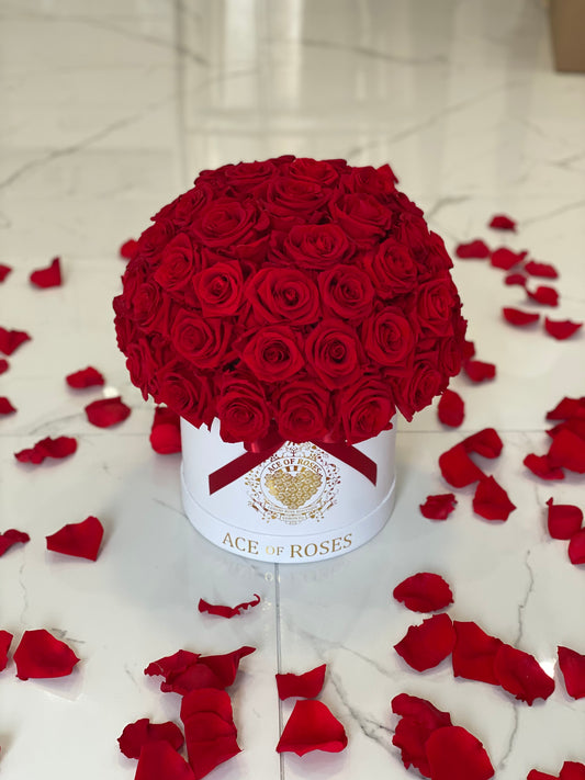 Half Ball (Medium Round)