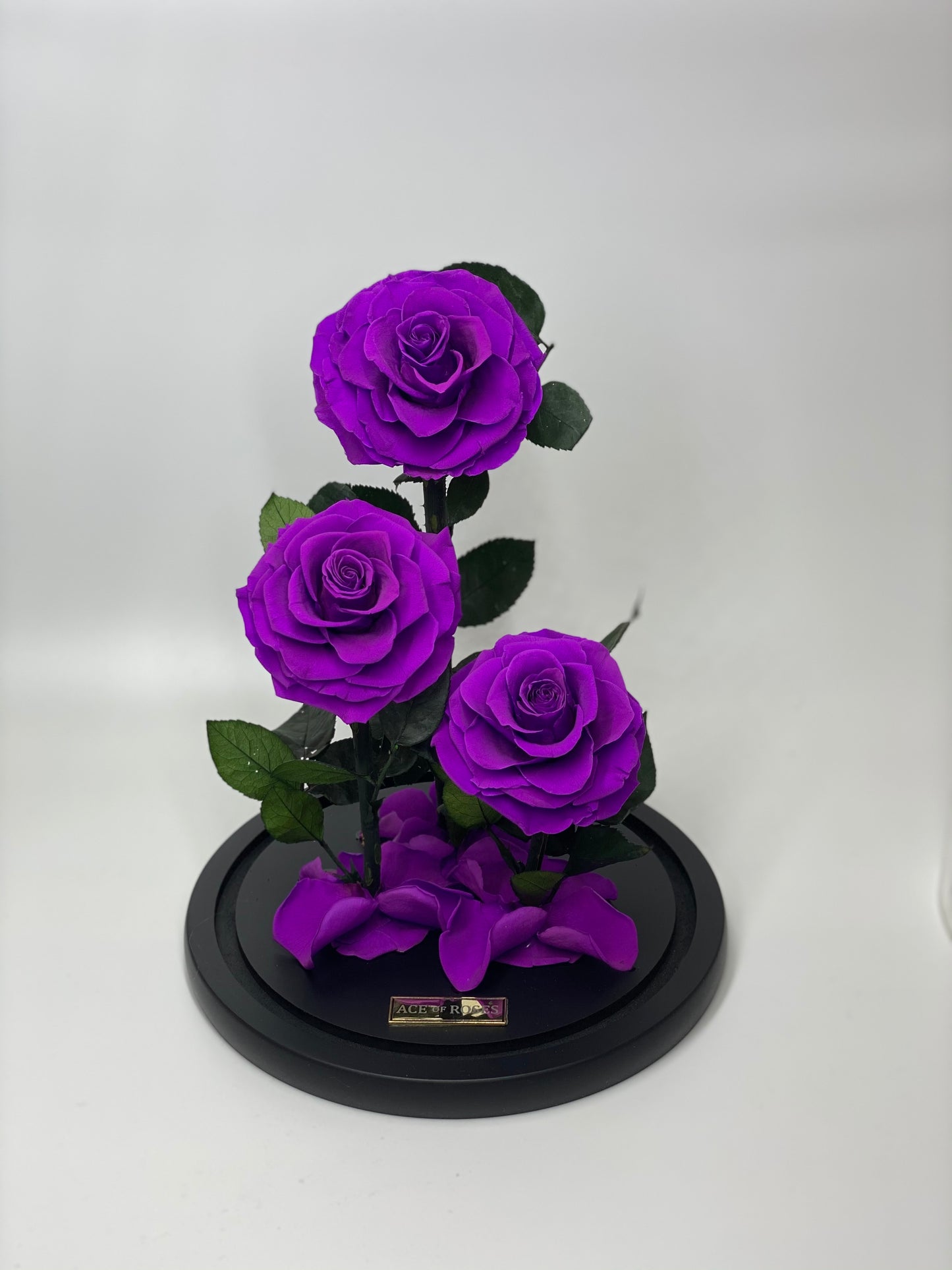 Glass Dome (3 Roses, Large)