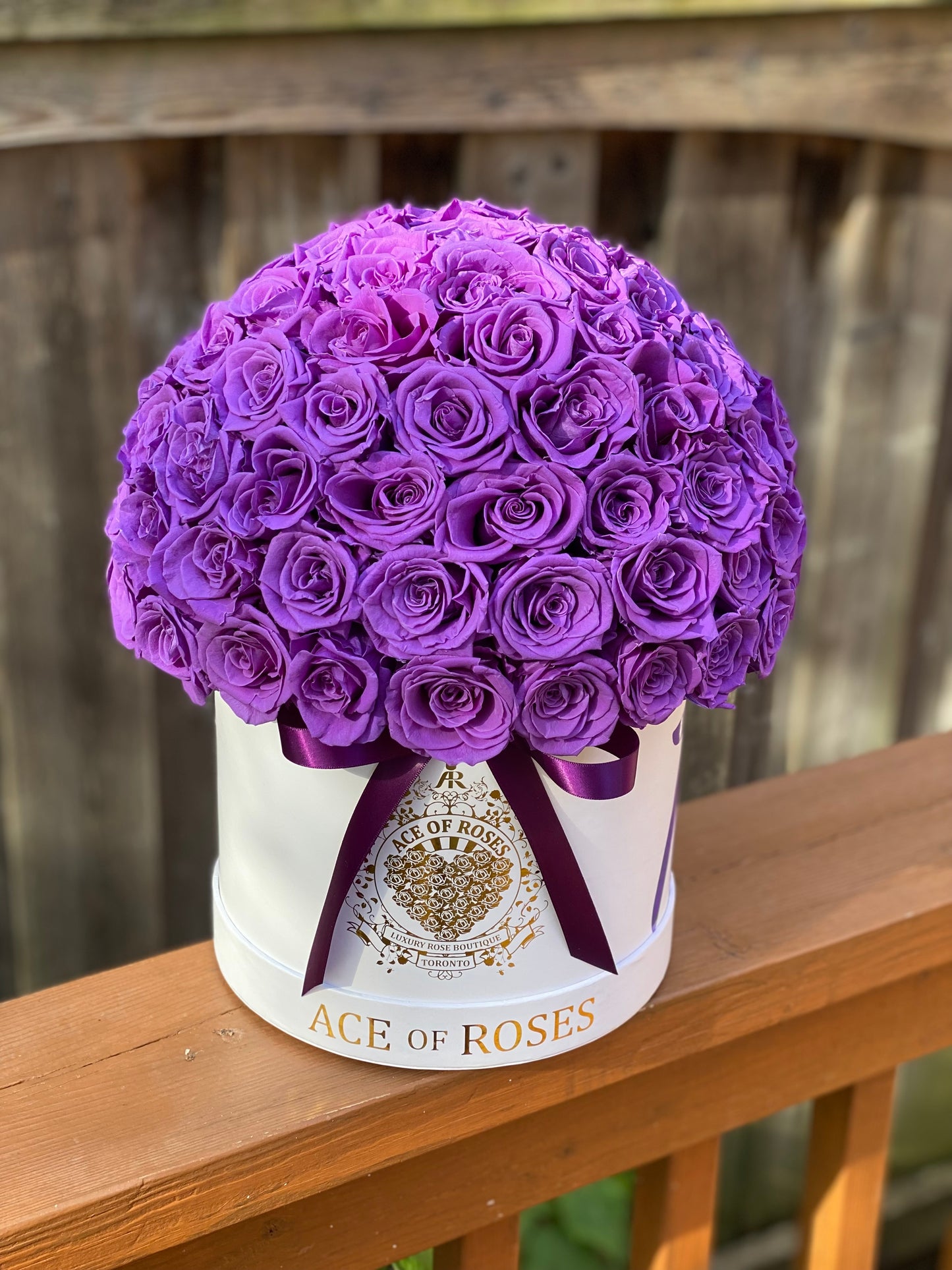 Half Ball (Medium Round)