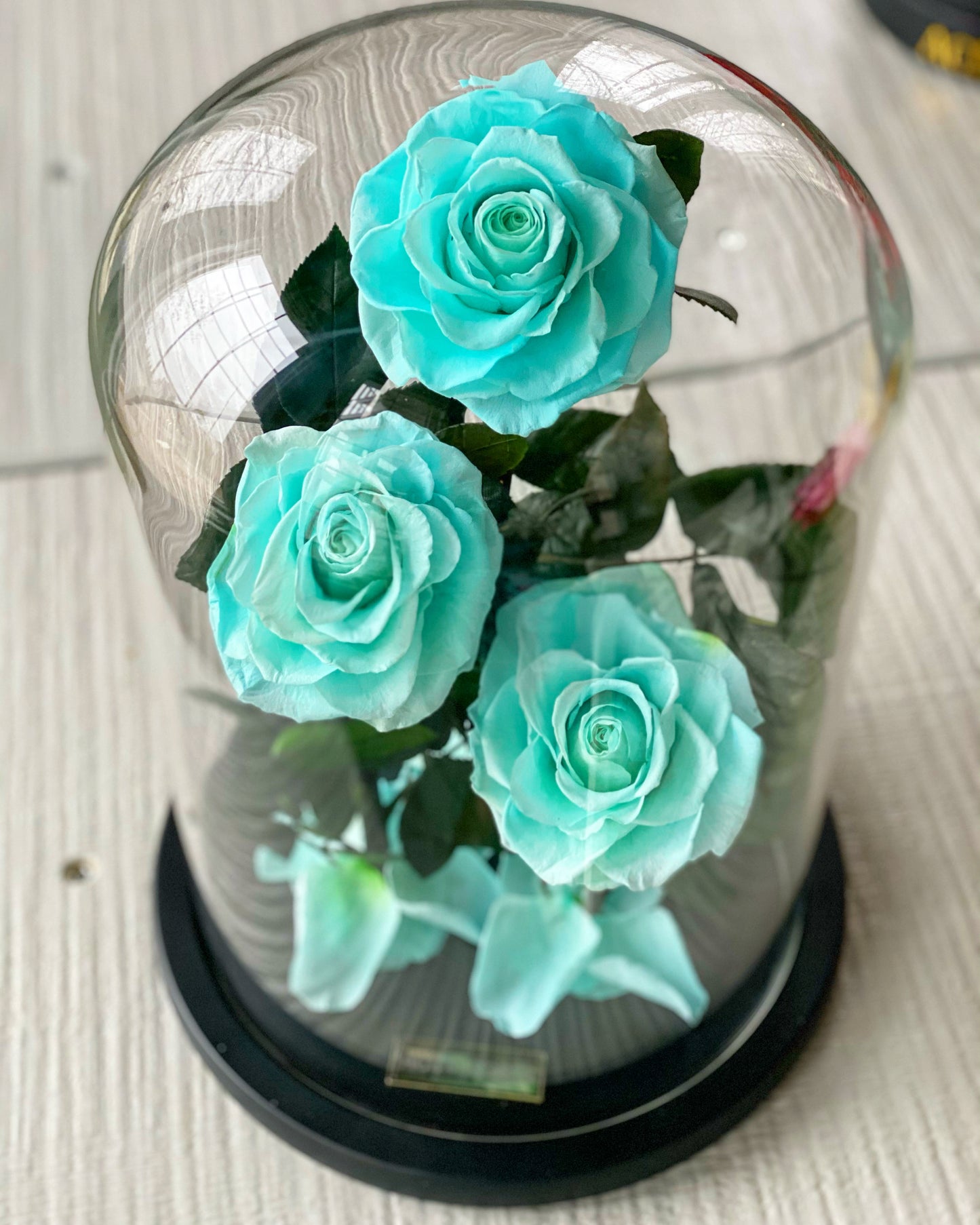 Glass Dome (3 Roses, Large)