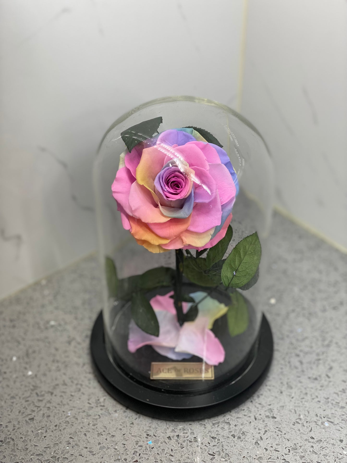 Glass Dome (Single Rose)