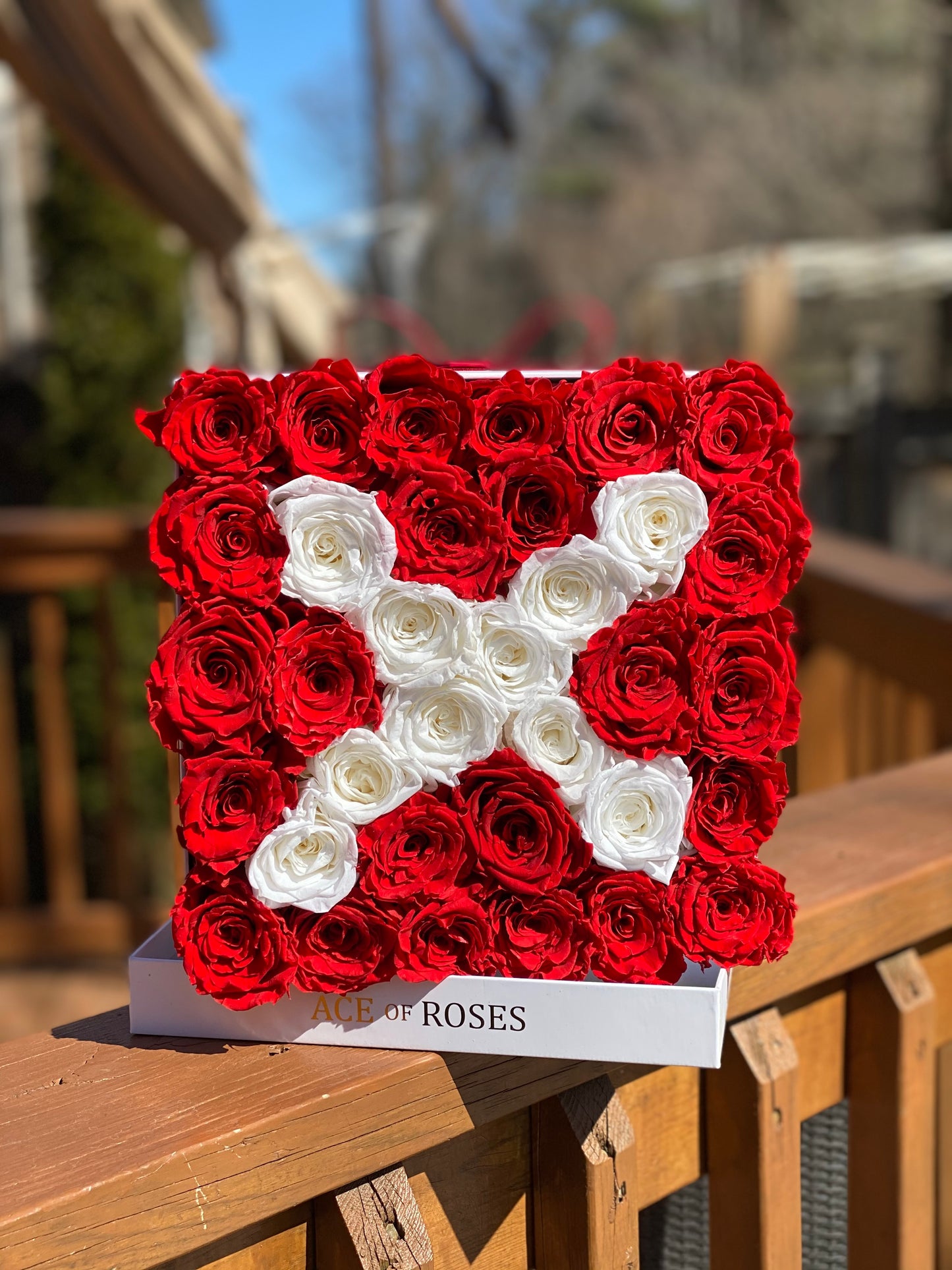 Initial Arrangement (Square)