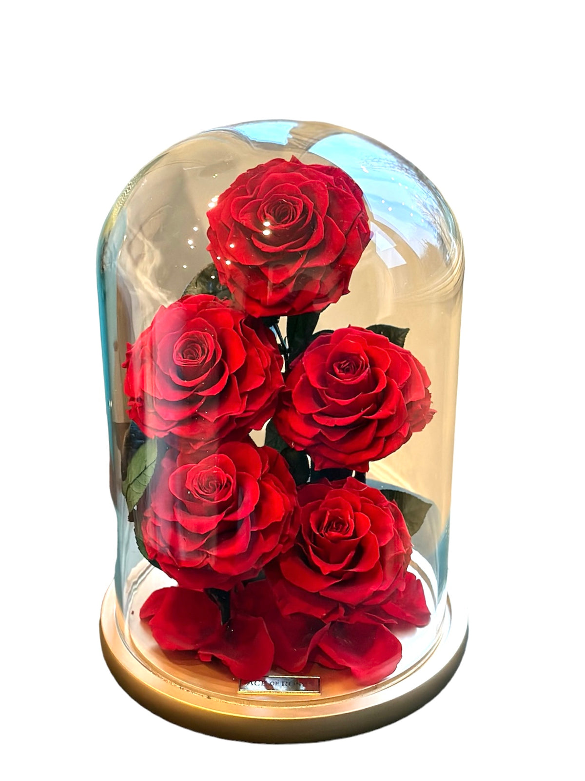 Glass Container With Roses Glass Dome (5 Roses, Large) – Ace of Roses