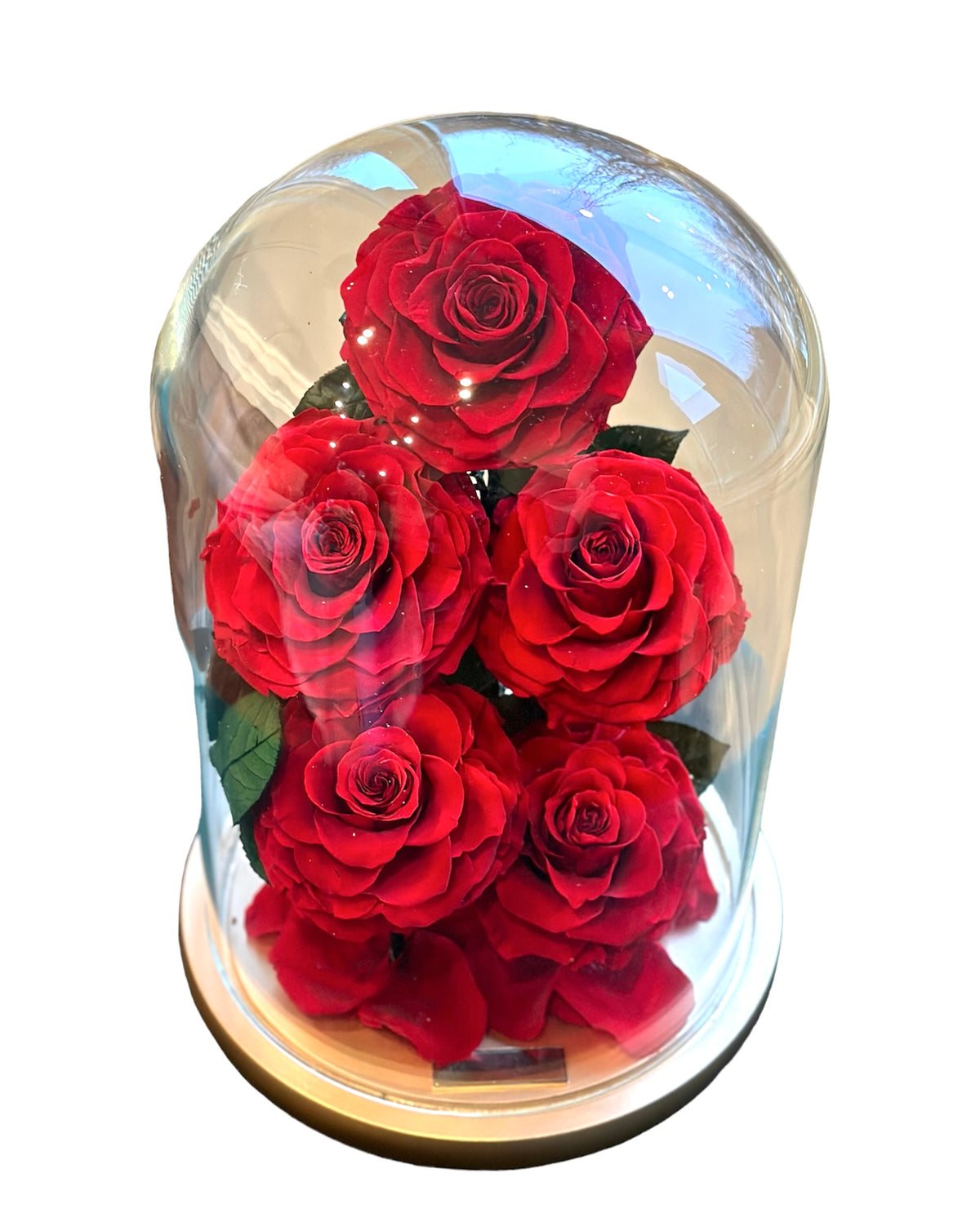 Glass Container With Roses Glass Dome (5 Roses, Large) – Ace of Roses