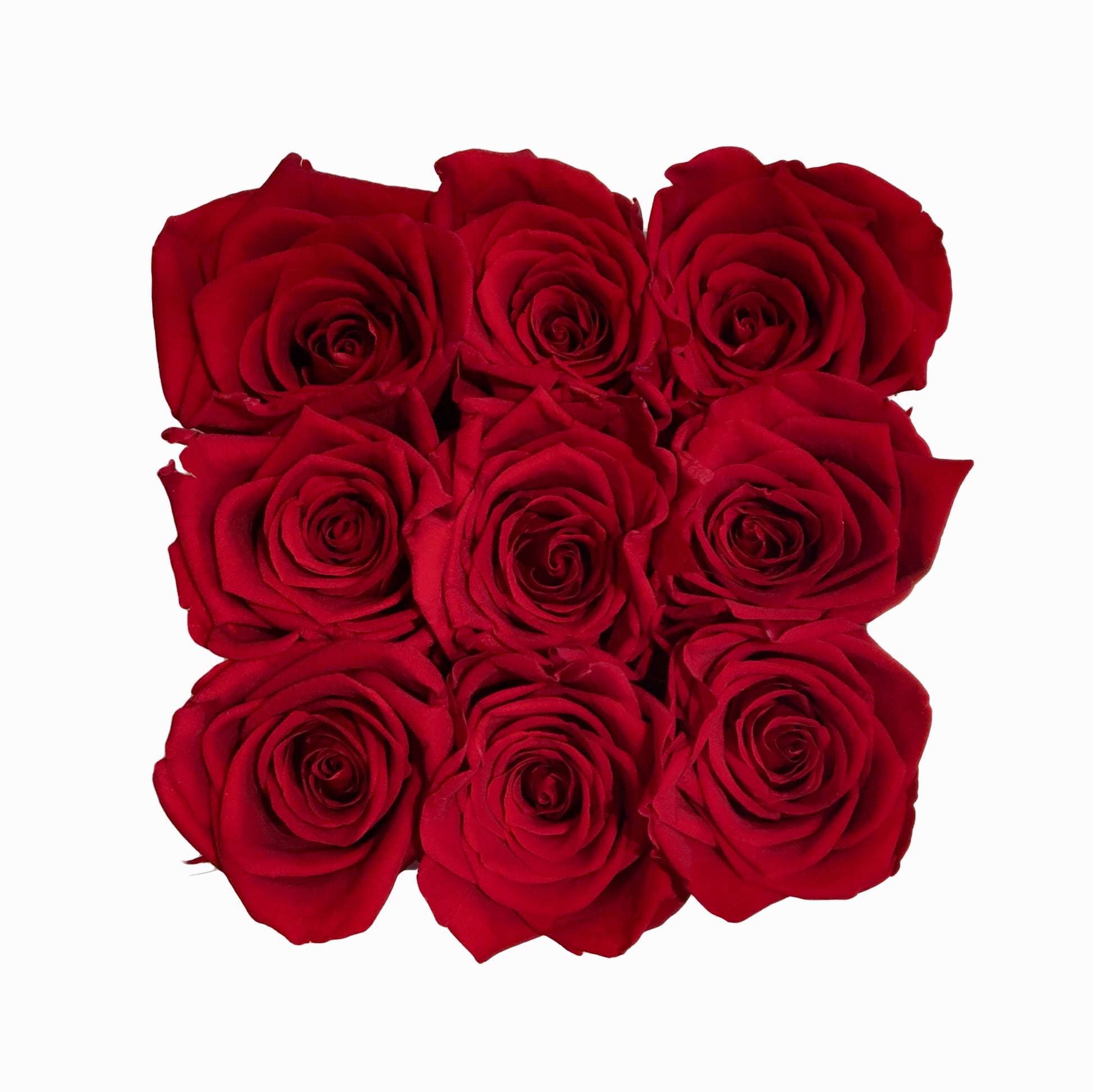 Red – Ace of Roses