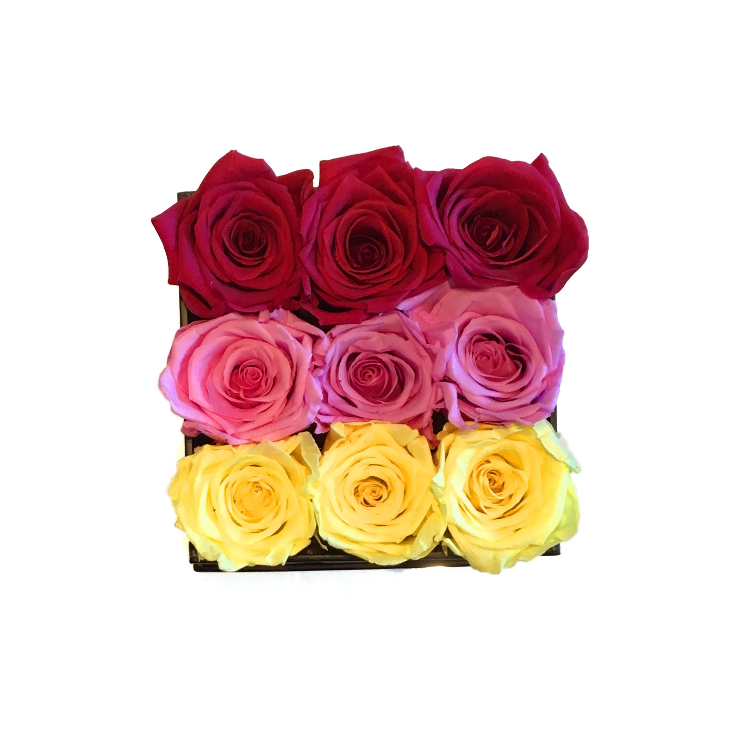 Ombre (Small)
