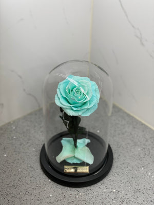 Glass Dome (Single Rose)