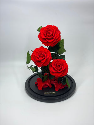 Glass Dome (3 Roses, Large)