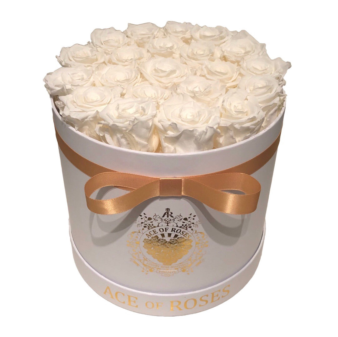 Medium Round Solid