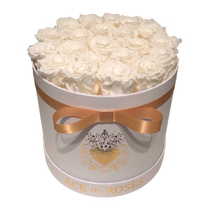 Medium Round Solid