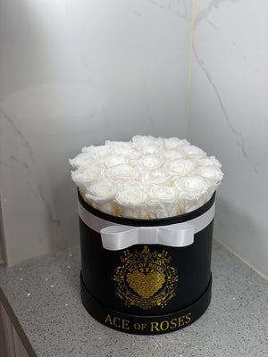 Medium Round Solid