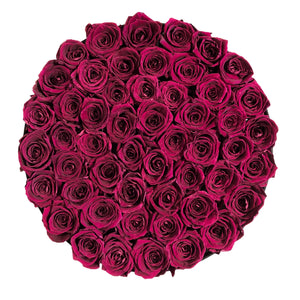 Large Round Solid