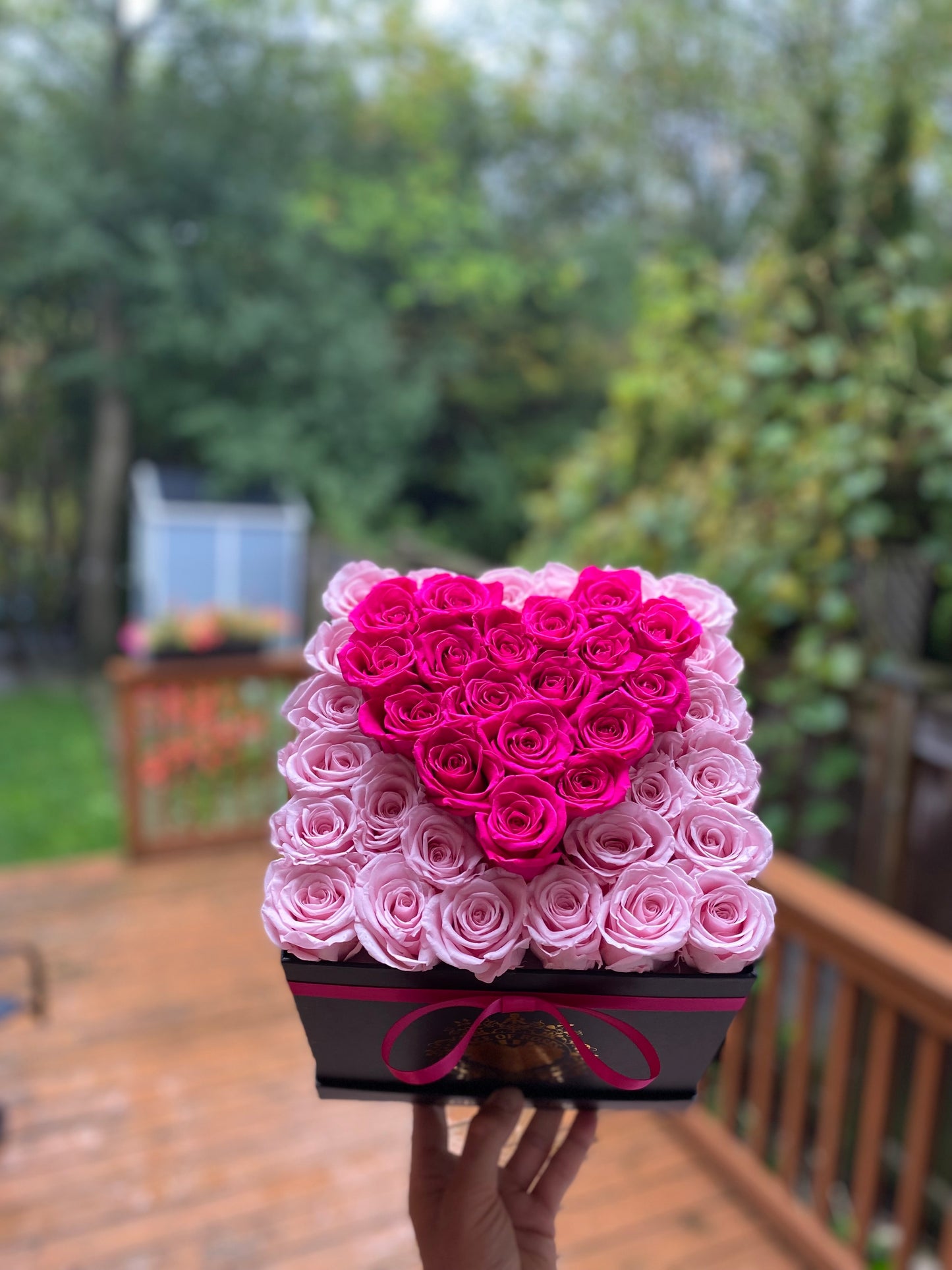 pink box roses last one year