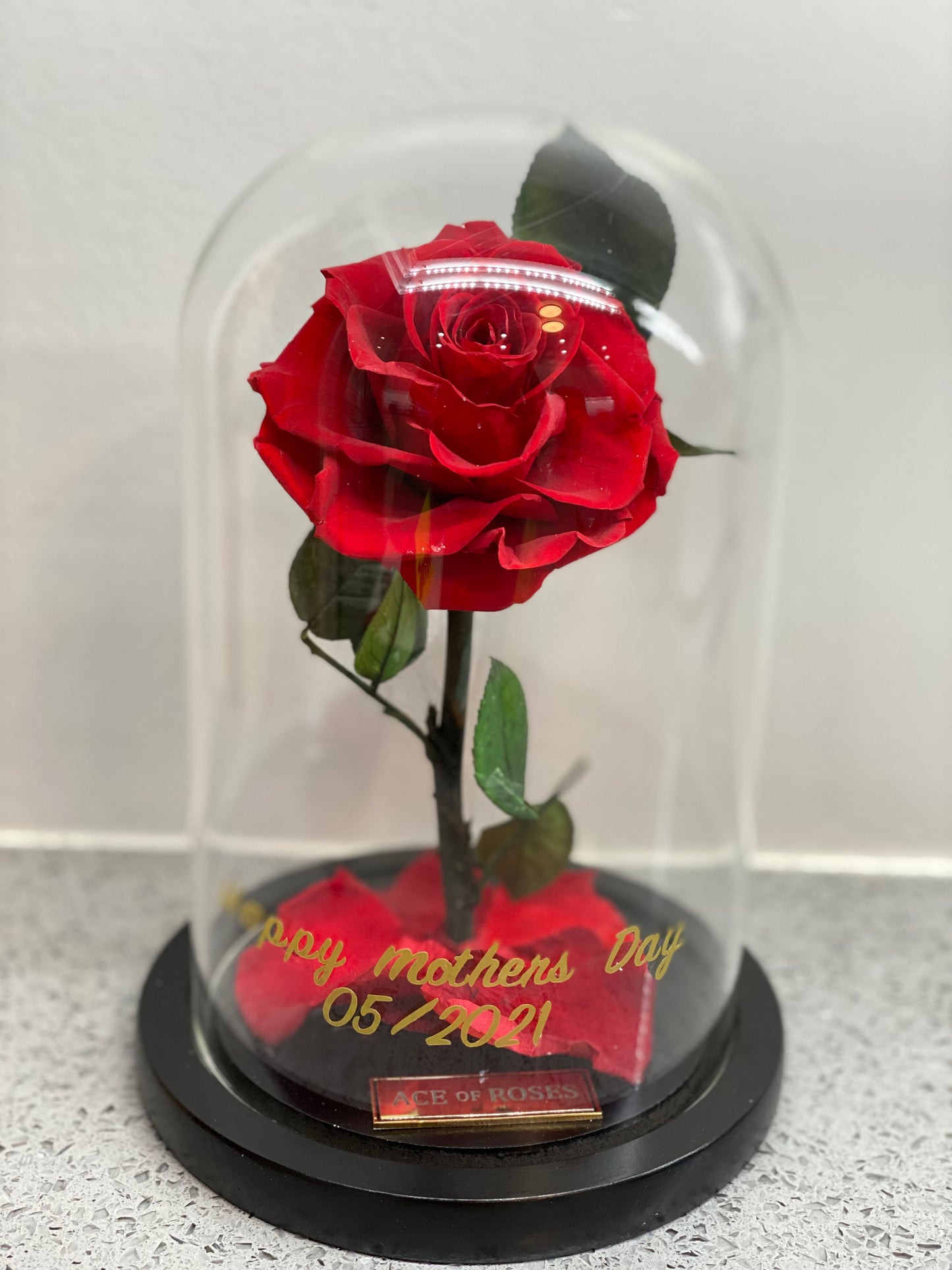Glass Dome (Single Rose)