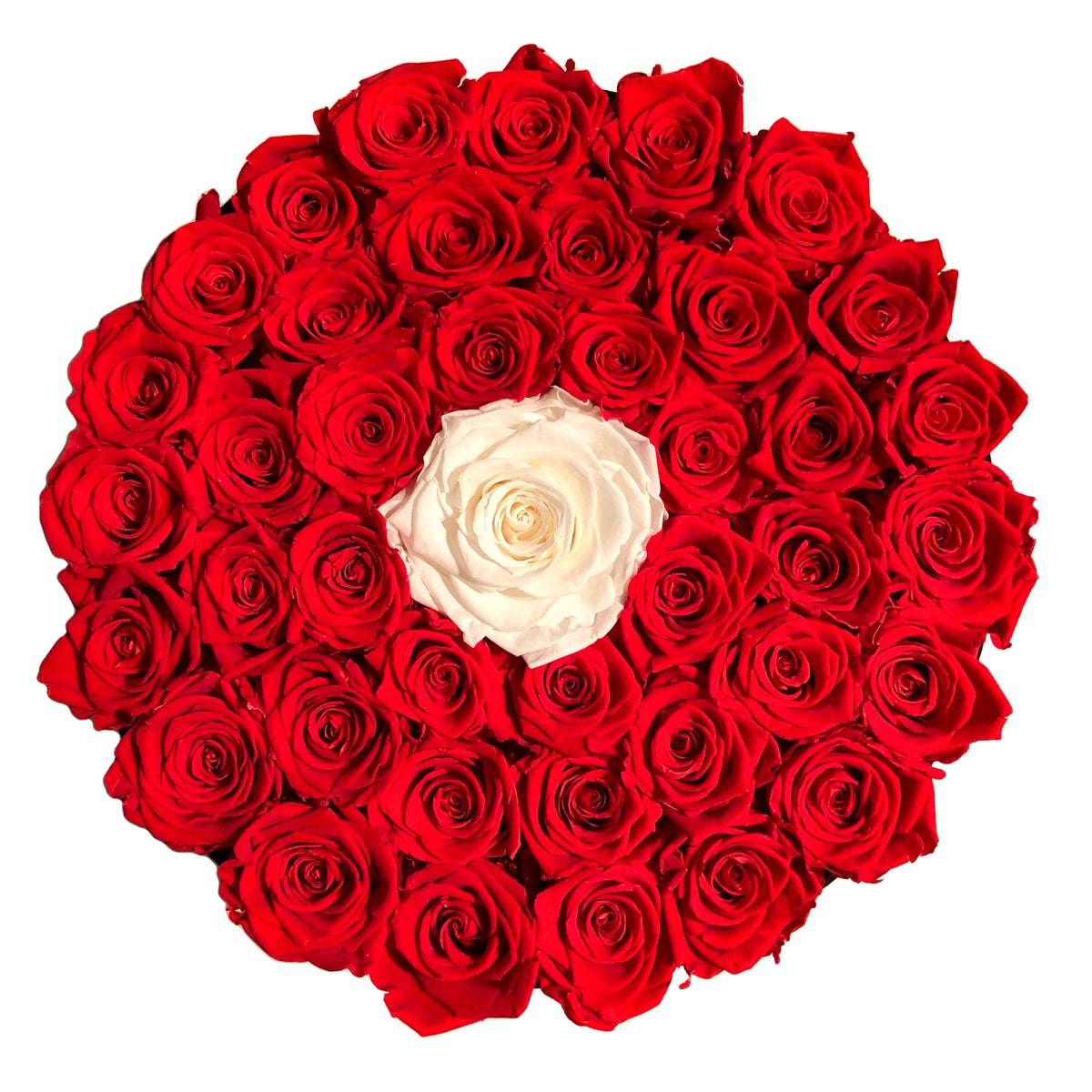 Roze Raund Large Round (Large Rose in the middle) – Ace of Roses