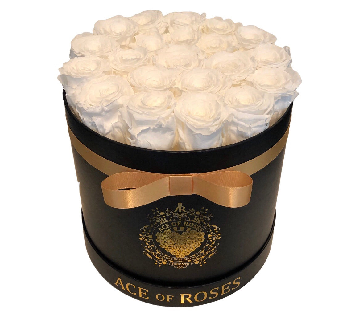 Medium Round Solid