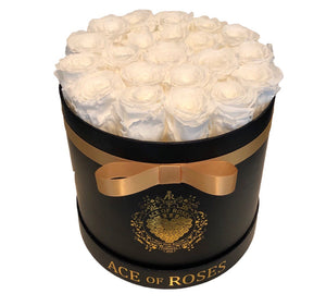 Medium Round Solid