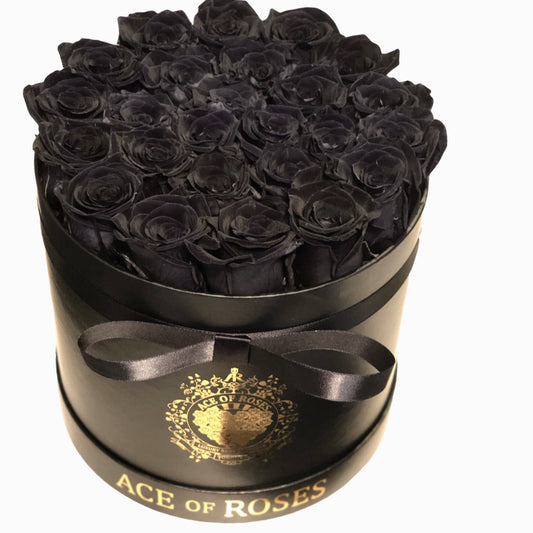 black eternity roses